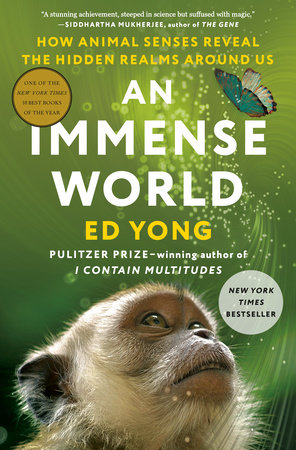 An Immense World cover
